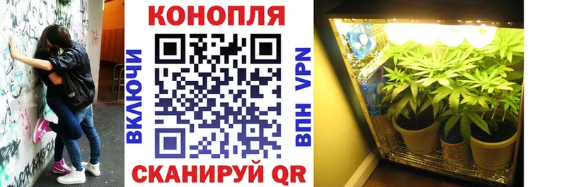 Марихуана конопля  Купить  Кольчугино 